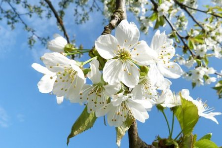 Otevírací doba stavebnin o květnových svátcích
